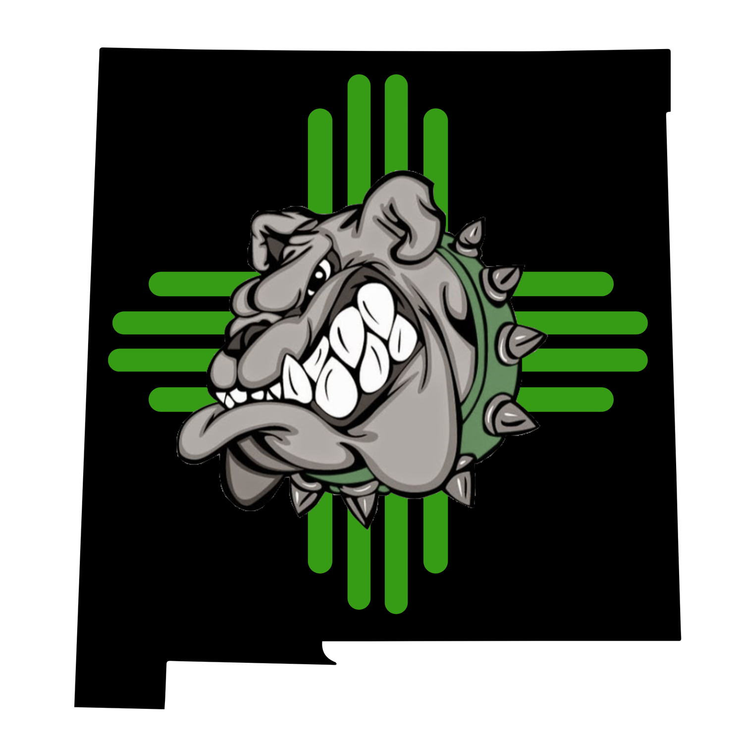 Albuquerque High School